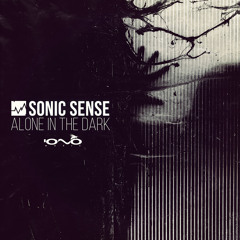 02. Sonic Sense - Come Down To Earth