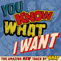 You Know What I Want (Original Mix)