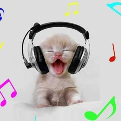 Armin van Buuren ft Trevor Guthrie vs Eximinds - This Is What Morning Feels Like (Ronko Mash)