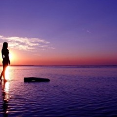 Ed Sheeran & Passenger - No Diggity (Van Andersson Remix) Preview