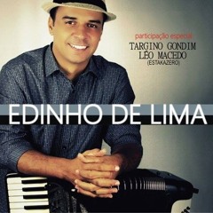 10- Você Endoideceu Meu Coração  (Nando Cordel)