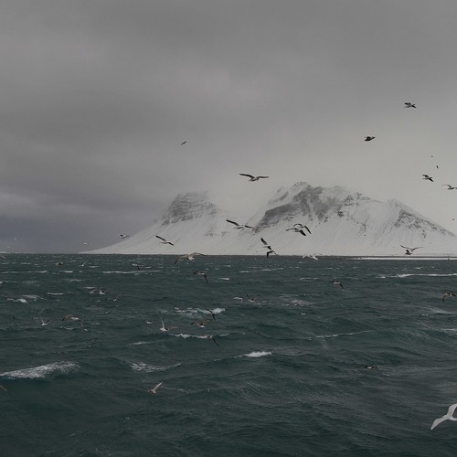 my sea, my weakness