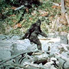 Iam Andy Kaufman, Fetch Me If You Can