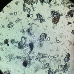 Find you (Cover by @fafarghani & @Earfun)