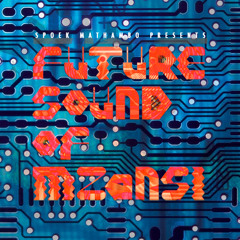 Future Sound Of Mzansi  1: Various Artists