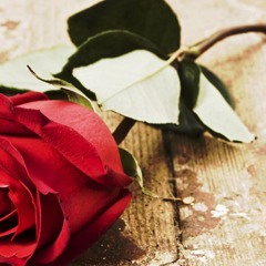 Roses- James Arthut ft Emeli Sande cover w/ @sheepstyles (live)