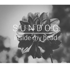 Sundog - Inside My Head (Di-rect cover)