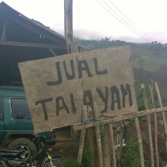 HLFNRML - BITTER GALACTIC [PLACEBO x BEASTIE BOYS]