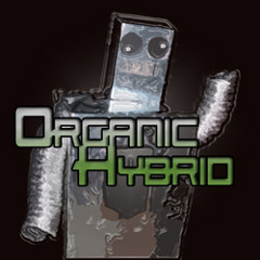 Organic Hybrid - 2011 Mix - Chunky Psytrance