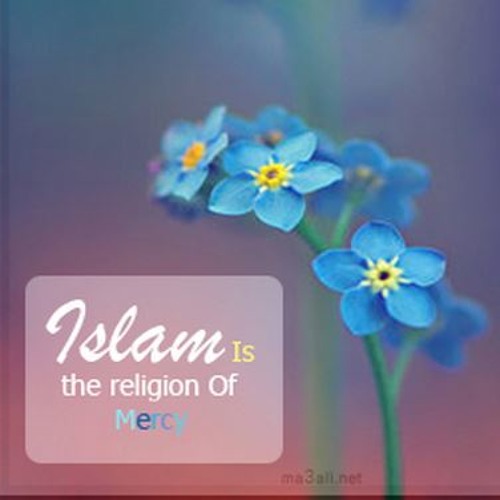 stream-quran-by-beautiful-recitations