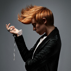 Slim - Bulletproof (Armor Plated) (La Roux)