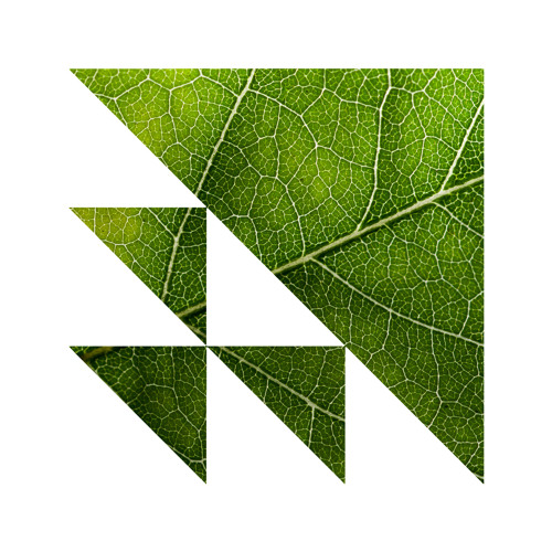 Hidden Turn - What's Going On? (clip) - Translation Recs