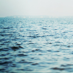 The Midnight Echo Chamber