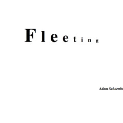 Fleeting (2008) for clarinet violin, cello and piano
