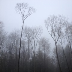 No Simple Connections- Original