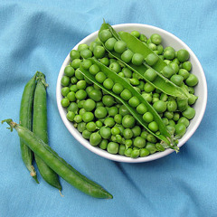 Removing fresh peas from the pea pod