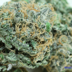 Kid Cudi - Maui Wowie (C&S)