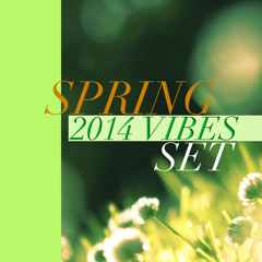 GSF SPRING 2014 VIBES SET