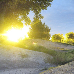 The Hellstrom Chronicle