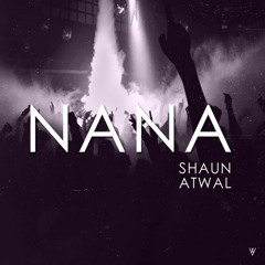 Shaun Atwal - Trey Songz - Na Na (Remix)