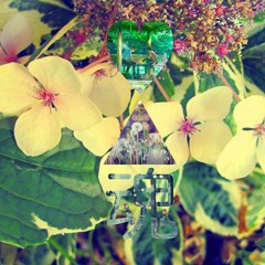 Parts Of Soul, Translucent (花音 Vol. 1)