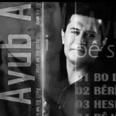 Ayub Ali Hesret ‌ 2014 حەسرەت ئەیوب علی ©
