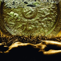 Siela, Žodžiai ir Muzika