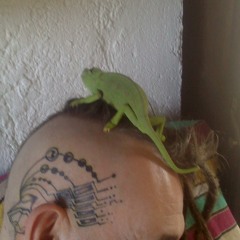 LSDj25 Fluffy Surfer