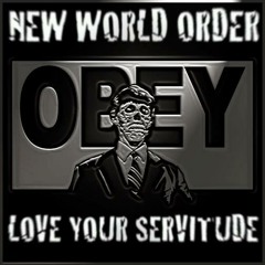 New World Order (raw no vocals no solo yet:()