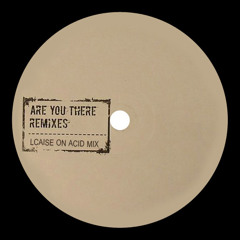 Josh Wink - Are You There (Lcaise On Acid Mix) FREE DOWNLOAD