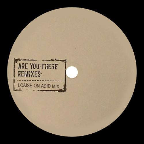 Josh Wink - Are You There (Lcaise On Acid Mix) FREE DOWNLOAD