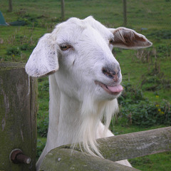 (Goat Remix) Find Another Way To Live - Danger Silence