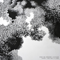 Pon de Panda & Etcha - What You Do It For (Stijn Sadee Remix)