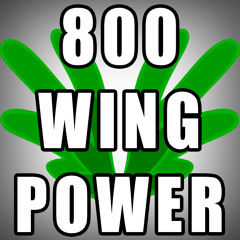 800 WingPower - NeedsMoreFur