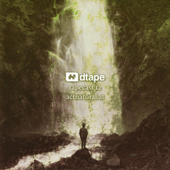 Tapecast 12 / actnatural.at