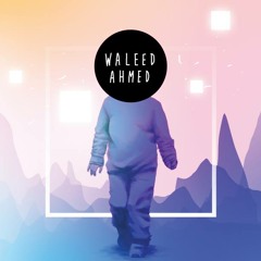 Waleed Ahmed - InMotion