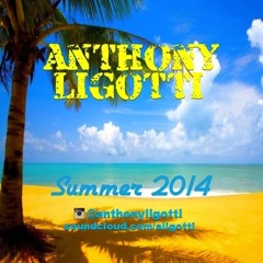 Summer 2014 (Anthony Ligotti)