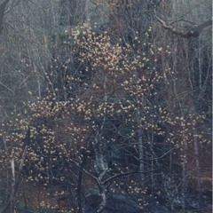 April in God-damn, by Richard Brautigan