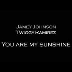 You Are My Sunshine [Jamey Johnson ft. Shooter Jennings]