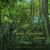 Artwork for Pacific Rainforest - Vanuatu - Album sample