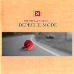 Depeche Mode The Things You Said (Kernfusion)