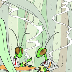 El Verde Estupor De Los Grillos