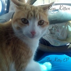 Ron Kitten - Goodbye "(I've Changed)" ft. Tyga, Rick Ross, and Lil Wayne