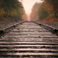 Passing Train - Elise Amato