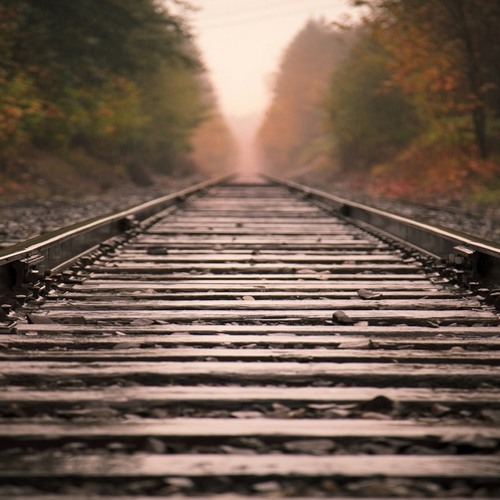 Passing Train - Elise Amato