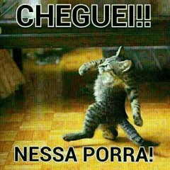 == MEGA ABERTURA DO BAILE DO JARDIM NOVO ====