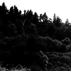 Carved Cross-The Scale of the Enormity of it All Becomes Clear