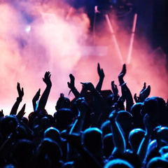 In- Panic Set (Summer 2014)