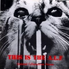 Various Artists - This is the A.L.F. mix