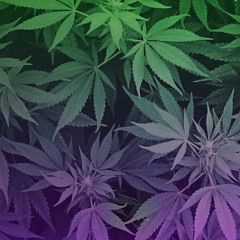 Creepin  at Brownside